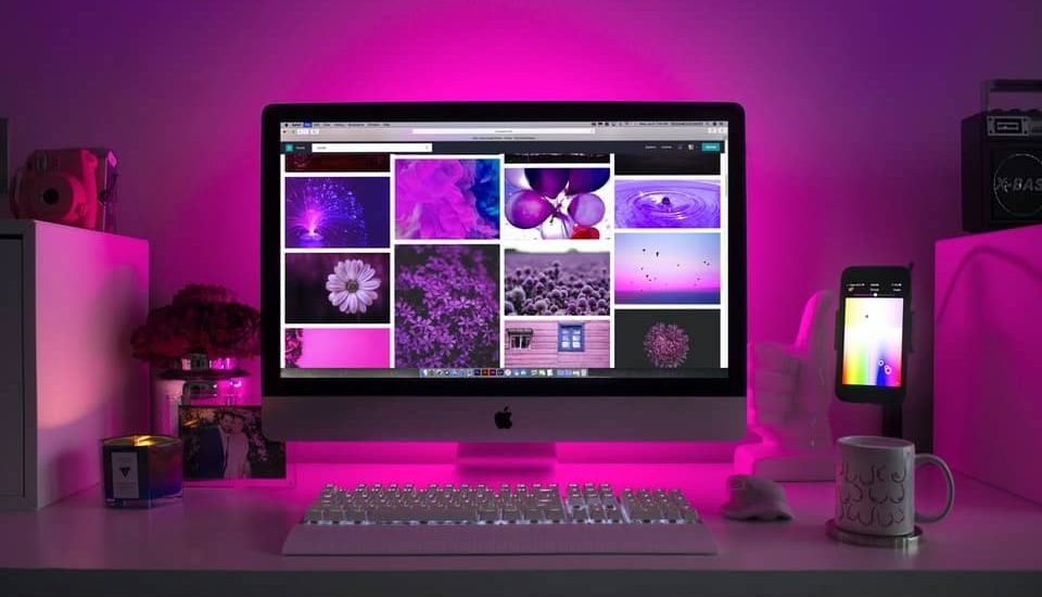 Professional Web Design Services