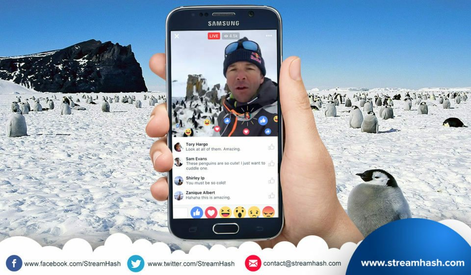 Professional Live Stream