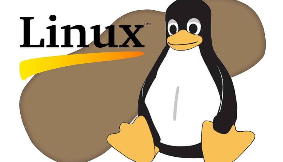Linux Reseller Hosting Plans