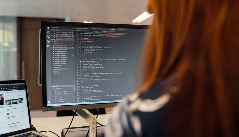 Software Development Services
