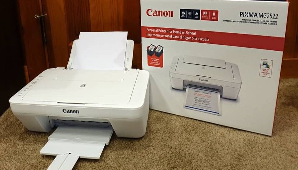 Canon Pixma MG2522 Printer