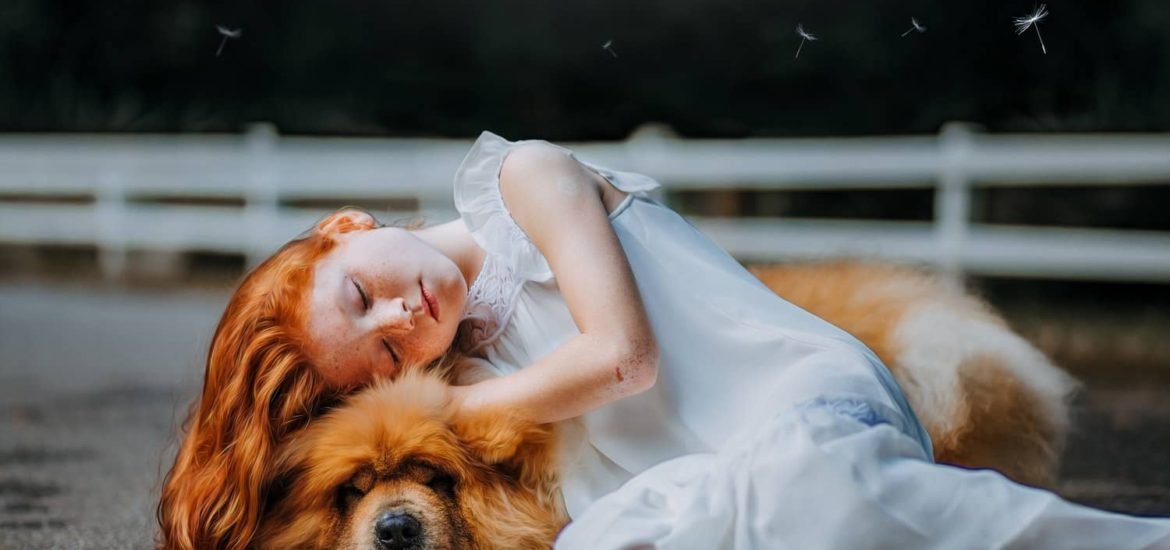 Dog Hair Loss Dealing