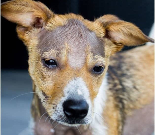 Treatment and Prevention